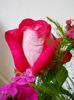 DSCN3818