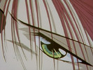 Ayashi-No-Ceres-ayashi-no-ceres-25859156-633-479
