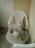 sunny beach, bulgaria-2012 029