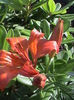 DSC01495
