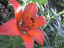 DSC01496