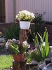 DSC01498