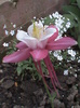 DSC01504