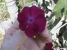 DSC01512