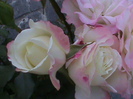 DSC01511