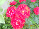 DSCN1349