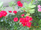 DSCN1361