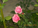 DSCN1362