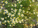 DSCN1319