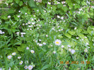 DSCN1357