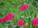 DSCN1368