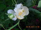 DSCN1370