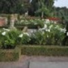 palatul-brancovenesc-poza-18-66883x75