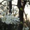 photos-poza-4-39700x75