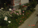 poze 895