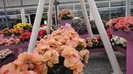 DSC00677
