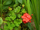 DSCN8262
