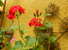 DSCN8280