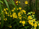 DSCN8284