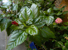 DSCN8289