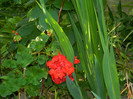 DSCN8292