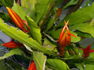 DSCN8295