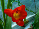 DSCN8301