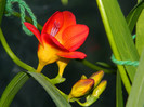 DSCN8303