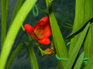 DSCN8304