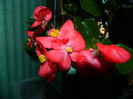 DSCN8309