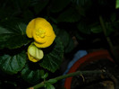 DSCN8325