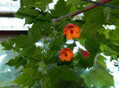 DSCN8329