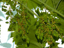 DSCN8331