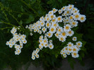 DSCN8336