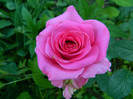 DSCN8338