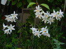 DSCN8343