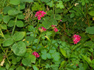 DSCN8345