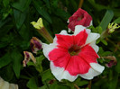 DSCN8359