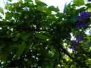 DSCN8360