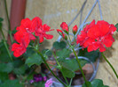 DSCN8361