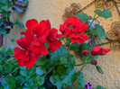 DSCN8362