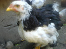 DSC02758