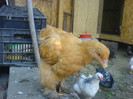 DSC02776