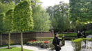 DSC00532