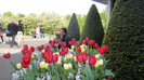 DSC00548