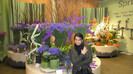 DSC00578
