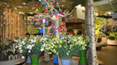 DSC00589