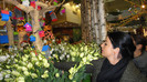 DSC00590