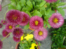 DSC02697