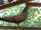 DSC00641